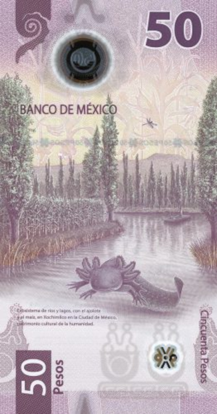 Back of Mexico's 50 Pesos Note