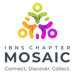IBNS Mosaic logo