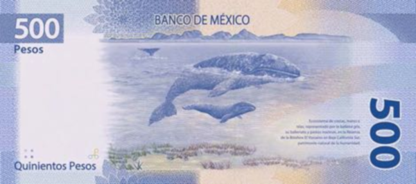 Mexico's 500 Peso Note