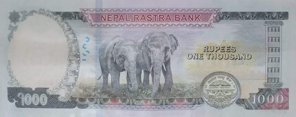Nepal s 1 000 Rupee Note