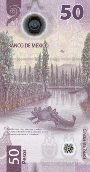 Banco De Mexico 50 Peso Note (Back)